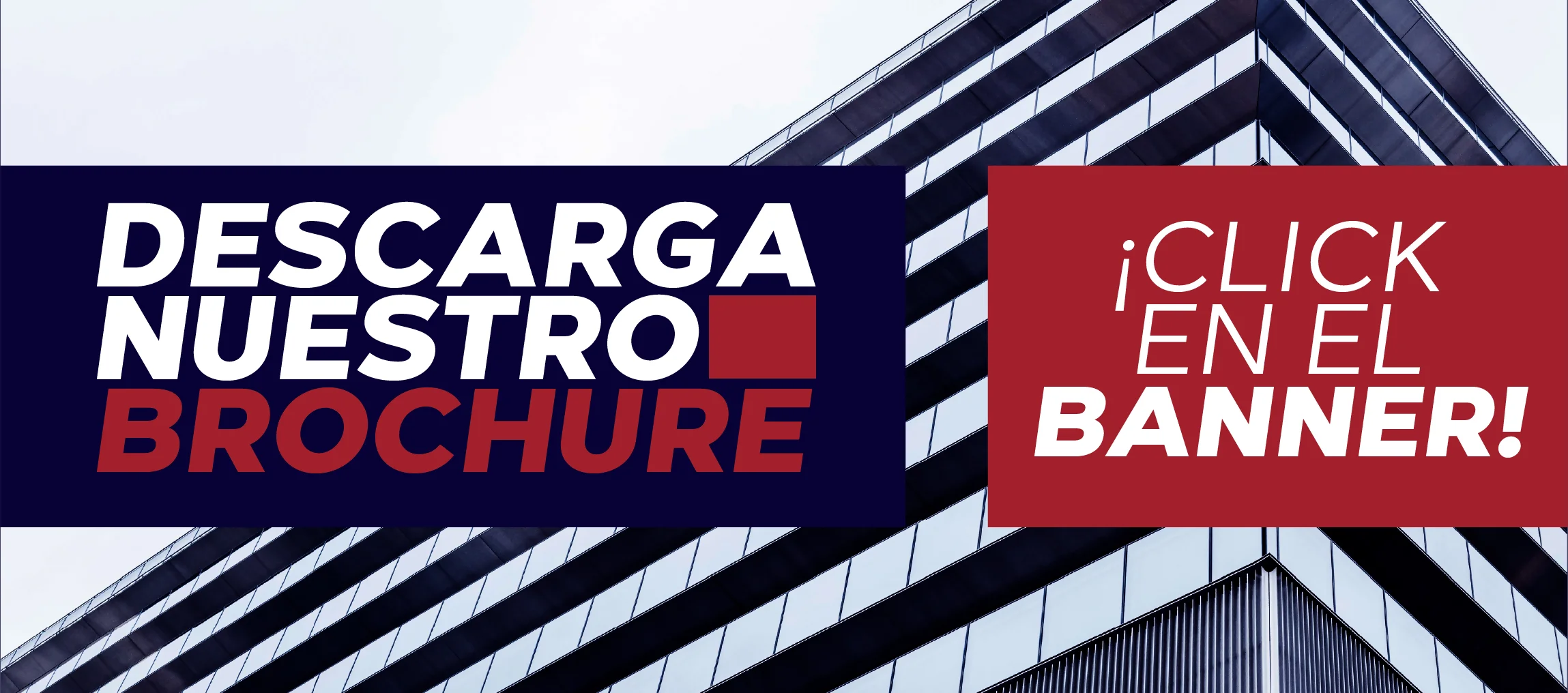 GAMAO-brochure-2024